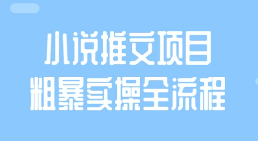 小说推文项目粗暴实操全流程-大磊资源网