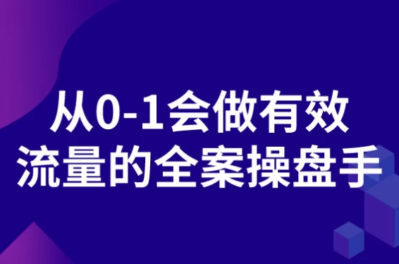 从0-1会做有效流量的全案操盘手-大磊资源网