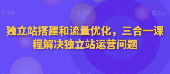 独立站搭建和流量优化三合一课程-大磊资源网