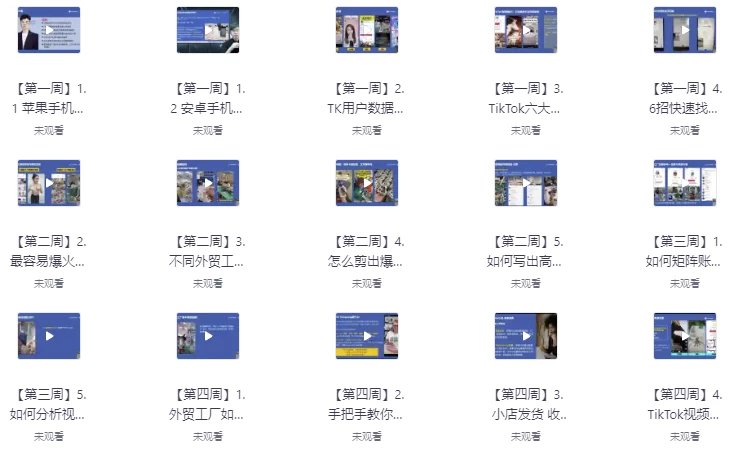 TikTok外贸工厂陪跑训练营-大磊资源网
