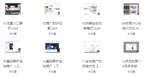 拼多多系统化课程-大磊资源网