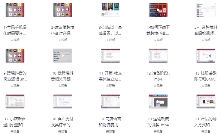 TikTok+独立站0基础入门到精通，跨境电商独立站新手必学课-大磊资源网