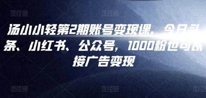 汤小小账号变现课第2期-大磊资源网
