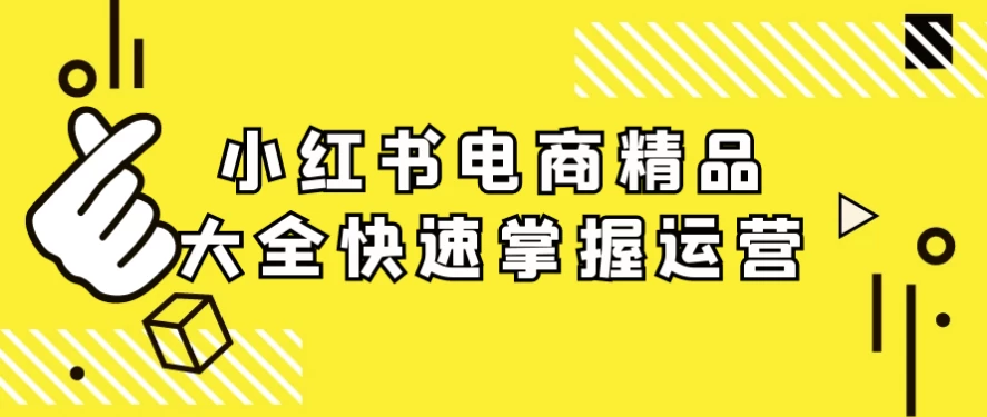 小红书电商精品大全快速掌握运营-大磊资源网