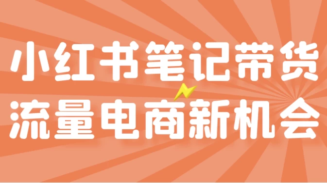 小红书笔记带货流量电商新机会-大磊资源网