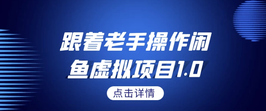 跟着老手操作闲鱼虚拟项目1.0-大磊资源网