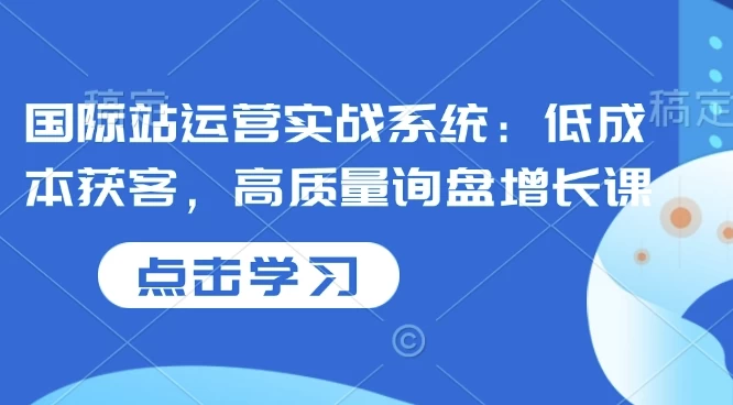 国际站运营实战系统：低成本获客，高质量询盘增长课-大磊资源网