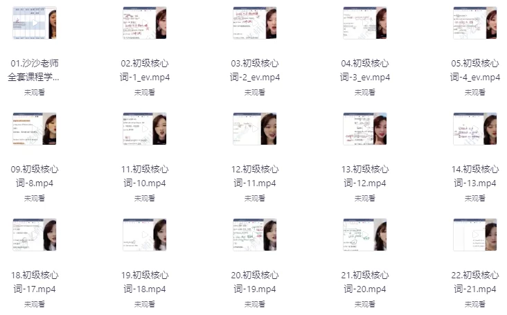 沙沙老师单词+语法初级二合一（341节）-大磊资源网