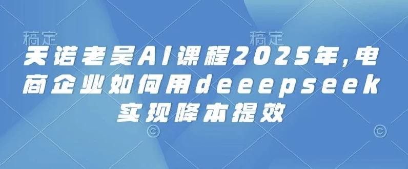 2025天诺老吴AI课程，电商企业如何用deeepseek实现降本提效-大磊资源网