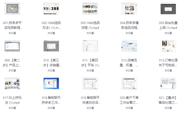 拼多多精细化运营店铺0-1，从零起步到爆单详细教程-大磊资源网