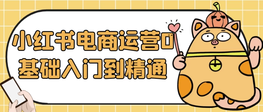 小红书电商运营0基础入门到精通-大磊资源网
