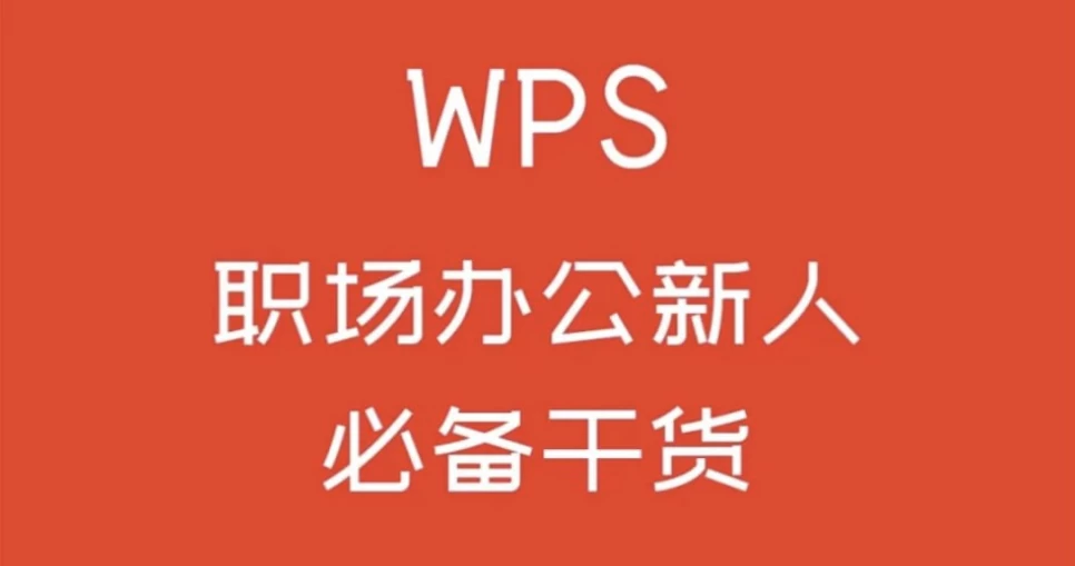 WPS零基础入门教程-大磊资源网