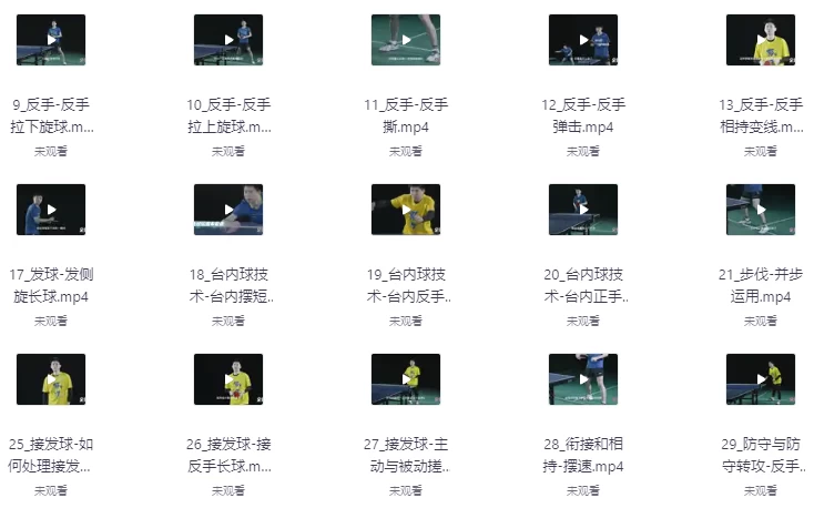 （全世爆）乒乓专业乒乓球教学课-大磊资源网