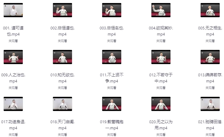 虚空济：道德经95讲-大磊资源网