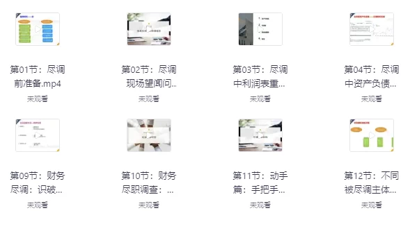 陆家嘴学堂·财务尽调基础与实务-大磊资源网