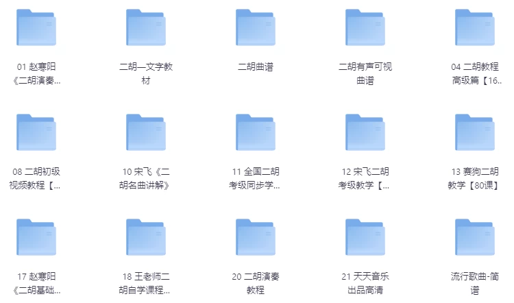 大师亲授二胡从入门到高手全套付费教程-大磊资源网