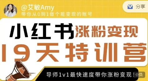 艾敏19天小红书涨粉变现特训营-大磊资源网