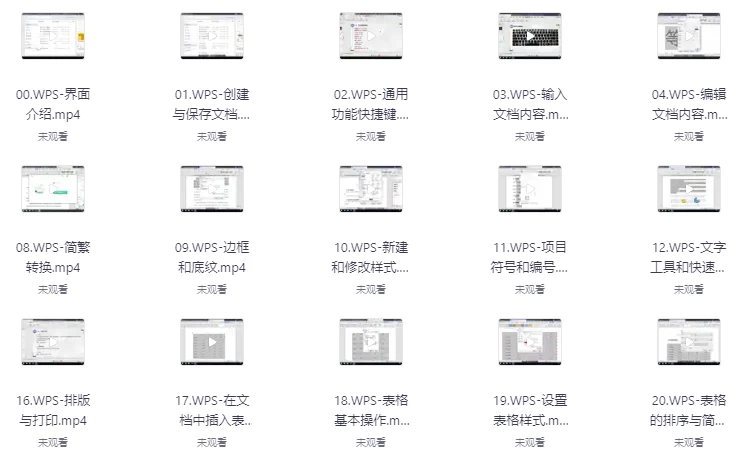 WPS全套教程合集小白秒变高手打工人必备-大磊资源网