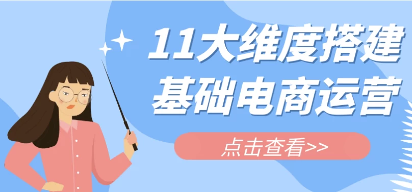 11大维度搭建基础电商运营-大磊资源网