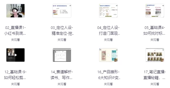 流量变现，带你轻松玩转小红书（23节视频课）-大磊资源网