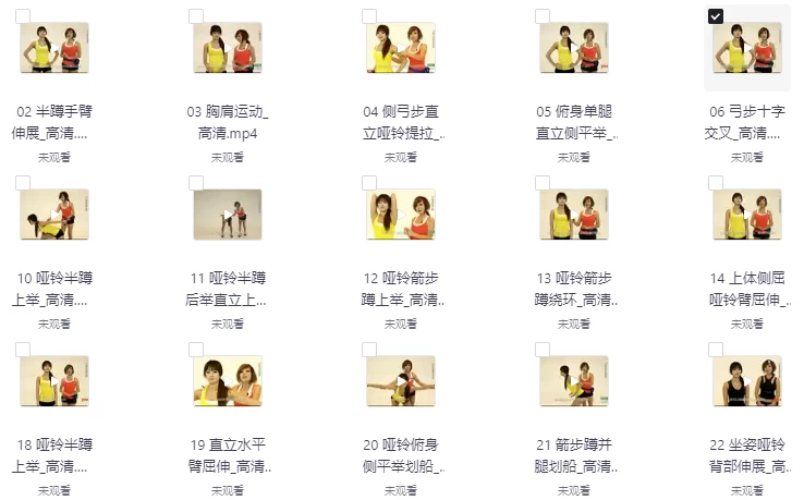 塑身操全集视频课-大磊资源网