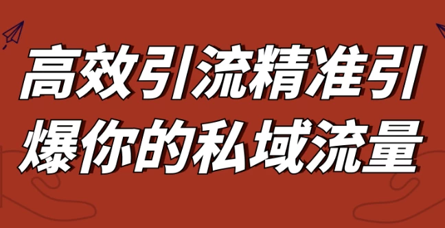 高效引流精准引爆你的私域流量-大磊资源网