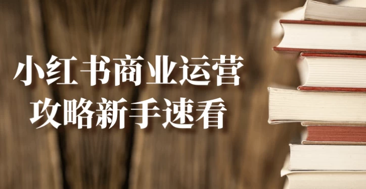 小红书商业运营攻略新手速看-大磊资源网