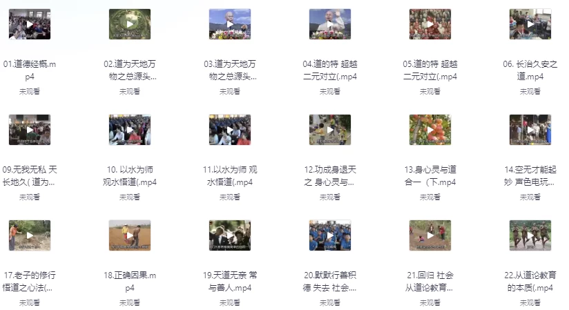道德经个人珍藏大合集《电子书+音频+多套收费视频》-大磊资源网