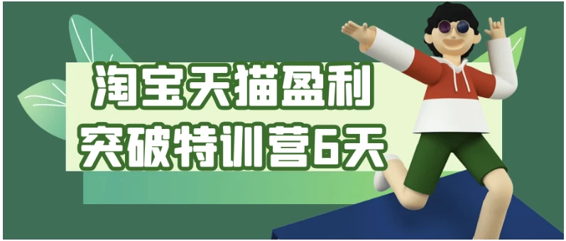 淘宝天猫盈利突破特训营6天-大磊资源网