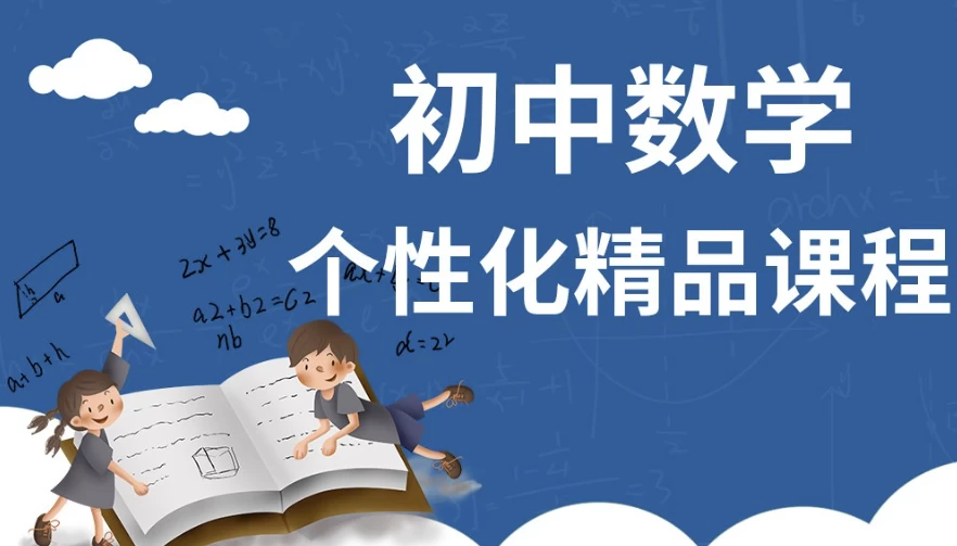 初中数学个性化课程-大磊资源网