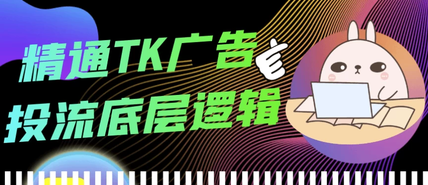 精通TK广告投流底层逻辑-大磊资源网
