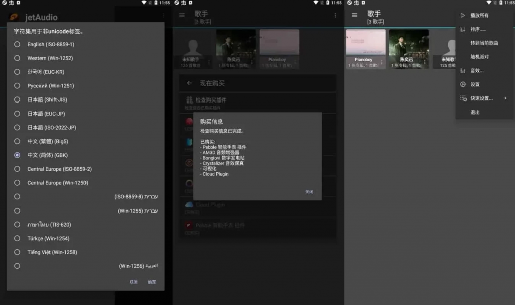 jetAudiov12.3.1最强音乐播放器，高级多语言版-大磊资源网