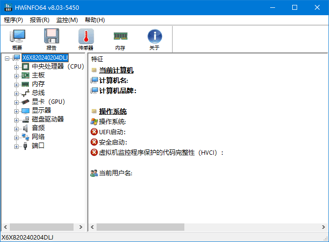 HWiNFO(专业系统信息检测工具)v8.24.5700中文绿色版-大磊资源网