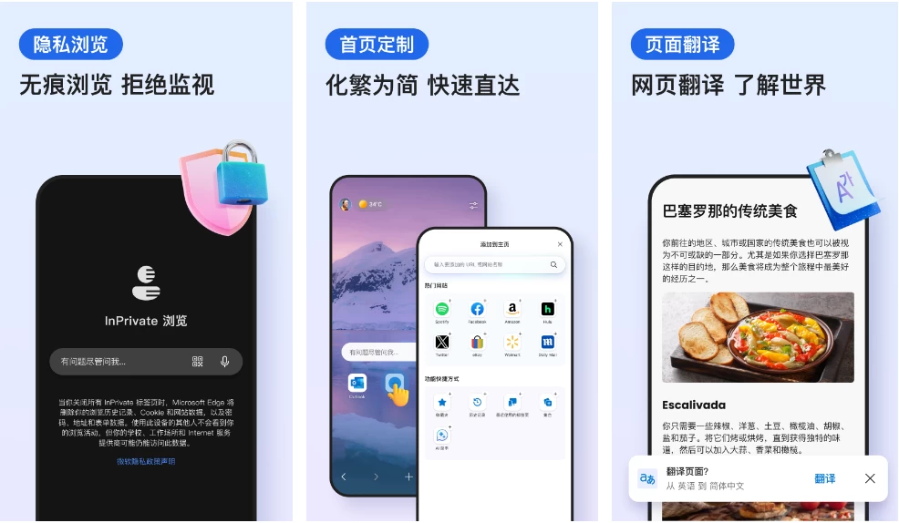 微软Edge浏览器v133.0.3065.67谷歌版-大磊资源网