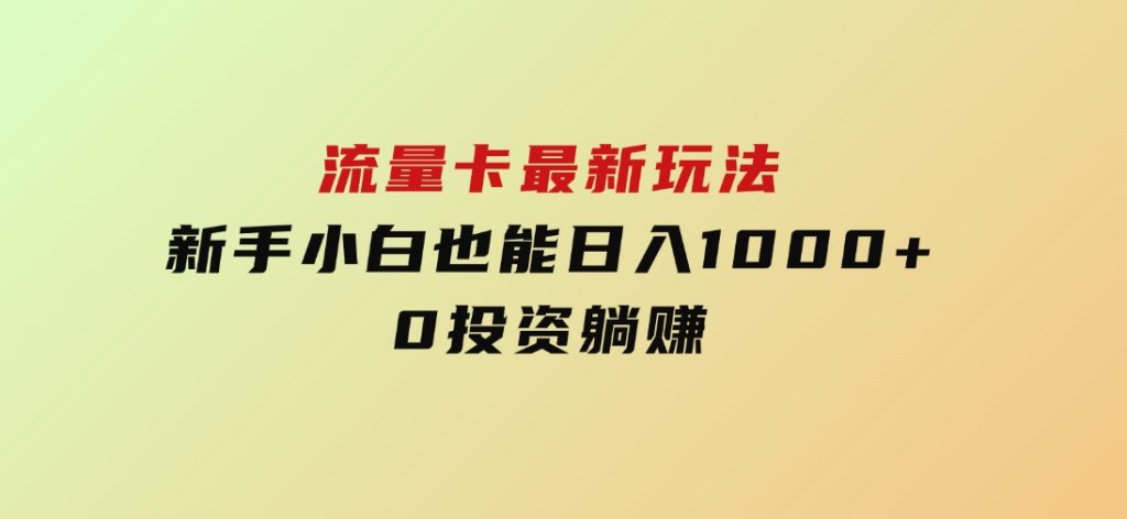 流量卡最新玩法，新手小白也能日入1000+，0投资躺赚-大磊资源网