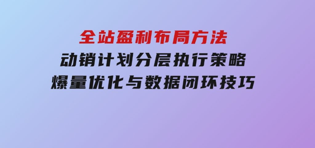 全站盈利布局方法：动销计划分层执行策略，爆量优化与数据闭环技巧-大磊资源网