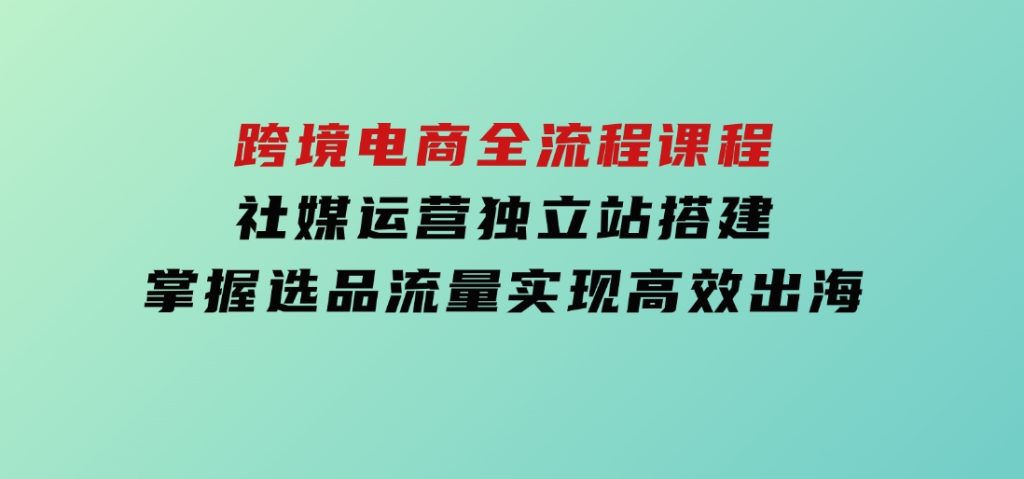 跨境电商全流程课程，社媒运营独立站搭建，掌握选品流量，实现高效出海-大磊资源网