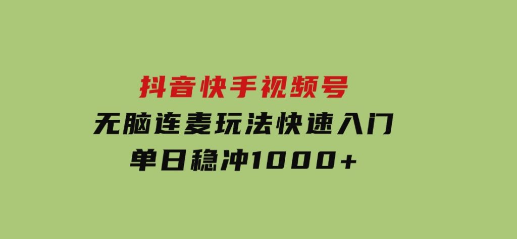 抖音，快手，视频号无脑连麦玩法！快速入门，单日稳冲1000+-大磊资源网