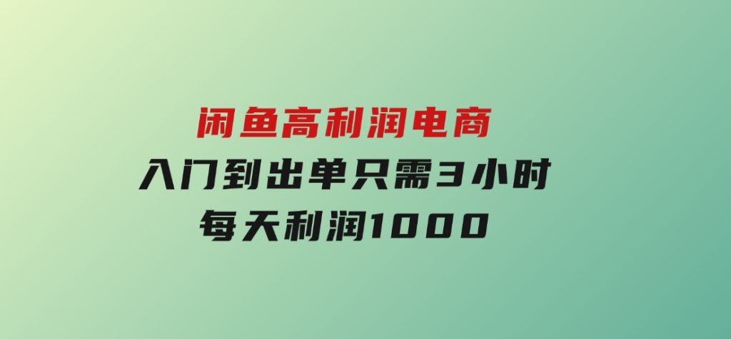 闲鱼高利润电商，入门到出单只需3小时，每天利润1000-大磊资源网