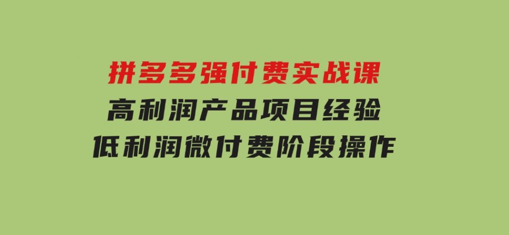 拼多多强付费实战课-44期，高利润产品项目经验，低利润微付费阶段操作-大磊资源网