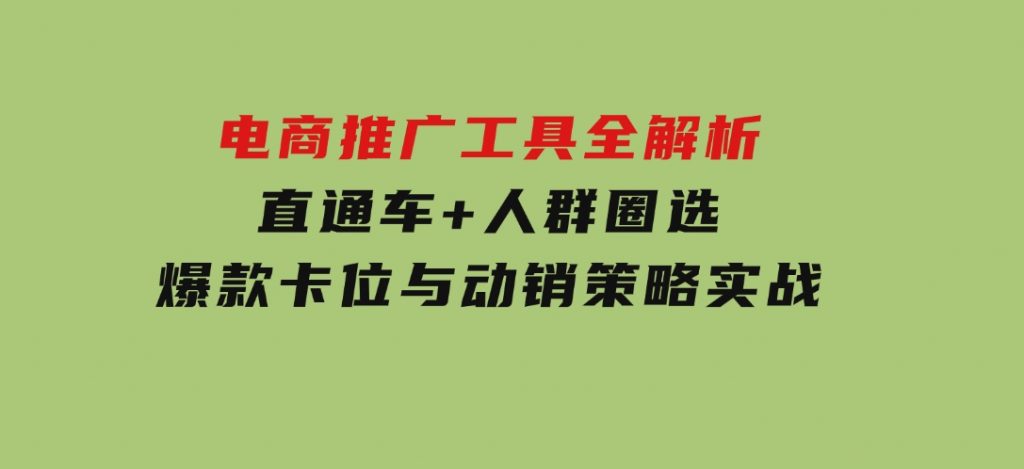 电商推广工具全解析，直通车+人群圈选，爆款卡位与动销策略实战-大磊资源网