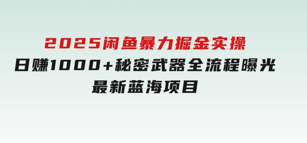 2025闲鱼暴力掘金实操！日赚1000+秘密武器全流程曝光，最新蓝海项目信-大磊资源网