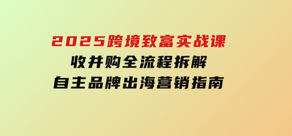 2025跨境致富实战课，收并购全流程拆解，自主品牌出海营销指南-大磊资源网