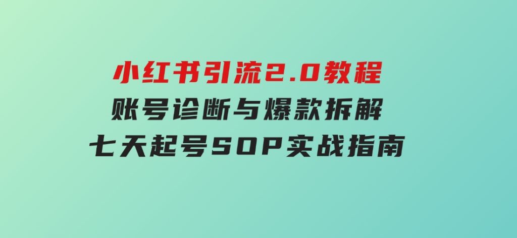 小红书引流2.0教程，账号诊断与爆款拆解，七天起号SOP实战指南-大磊资源网