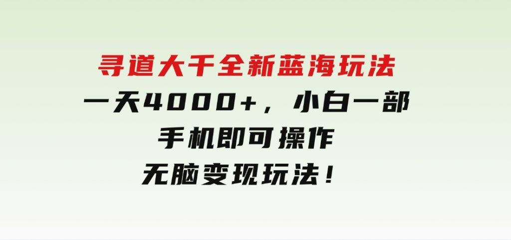 寻道大千全新蓝海玩法，一天4000+，小白一部手机即可操作，无脑变现玩法！-大磊资源网