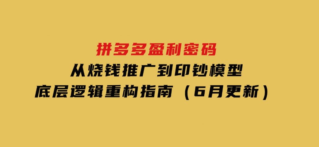 拼多多盈利密码：从烧钱推广到印钞模型，底层逻辑重构指南（6月更新）-大磊资源网