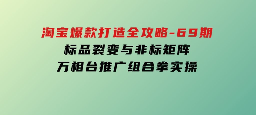 淘宝爆款打造全攻略-69期，标品裂变与非标矩阵，万相台推广组合拳实操-大磊资源网
